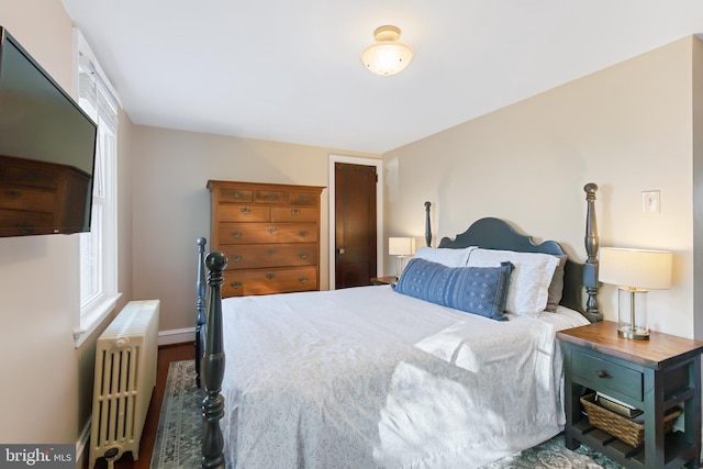 1175 Letort Rd, Conestoga, PA 17516 - bedroom featuring radiator heating unit