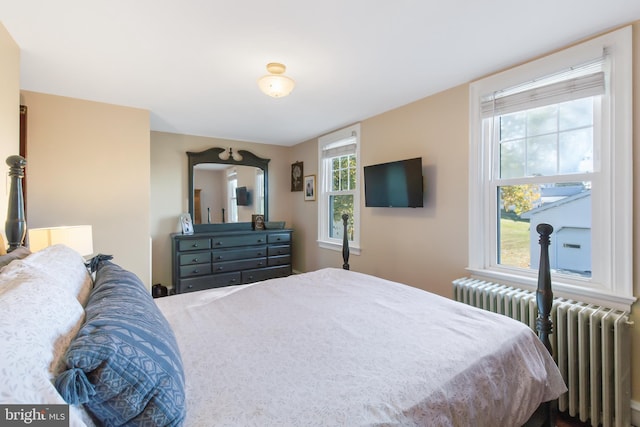 1175 Letort Rd, Conestoga, PA 17516 - bedroom featuring radiator heating unit