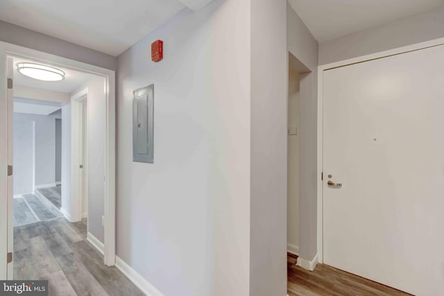 corridor featuring electric panel, baseboards, and wood finished floors