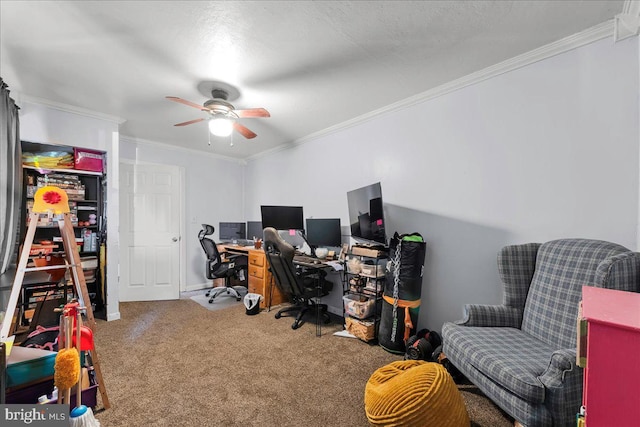 office space featuring ceiling fan, baseboards, carpet, and ornamental molding