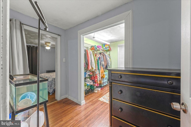 walk in closet with light wood-style floors