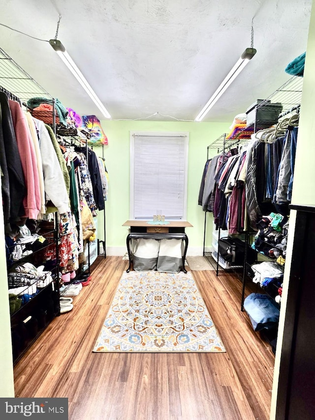 walk in closet featuring wood finished floors