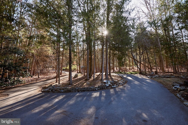 view of yard featuring driveway