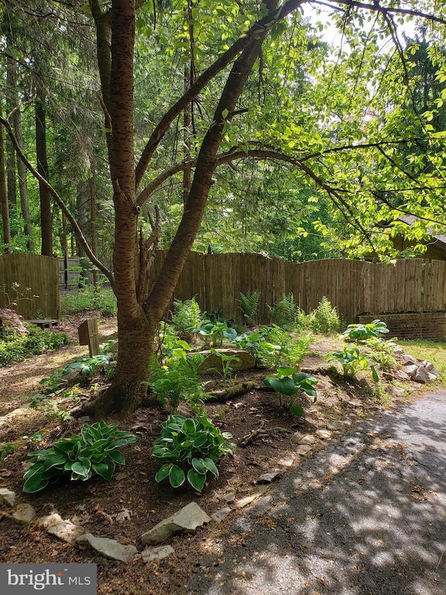 view of yard featuring fence