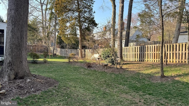 view of yard featuring a fenced backyard