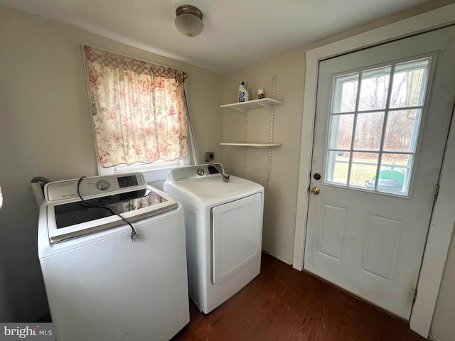 laundry room featuring dark wood-style floors, washing machine and dryer, and laundry area