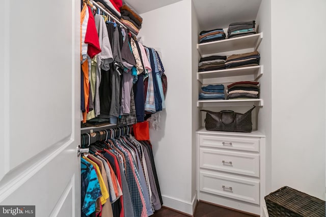 walk in closet with wood finished floors