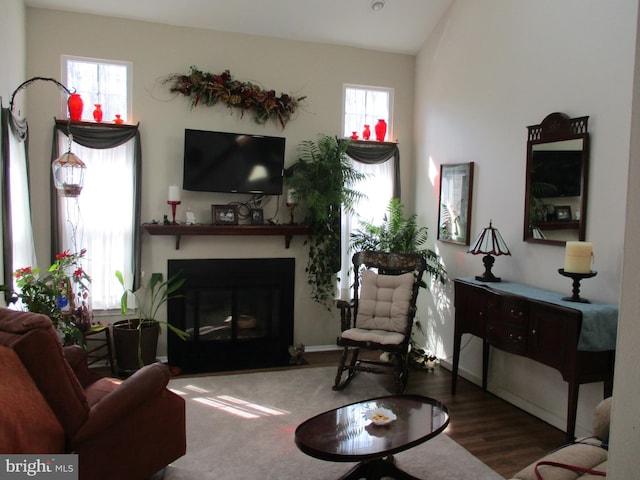 living area featuring a wealth of natural light, a fireplace with flush hearth, lofted ceiling, and wood finished floors