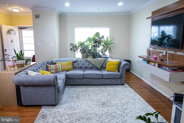 living room featuring wood finished floors, a healthy amount of sunlight, and ornamental molding