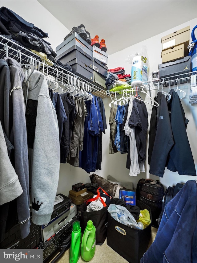 walk in closet featuring carpet flooring