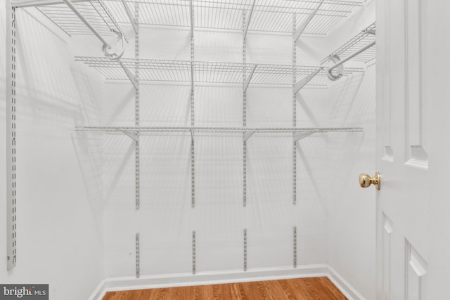 walk in closet with wood finished floors