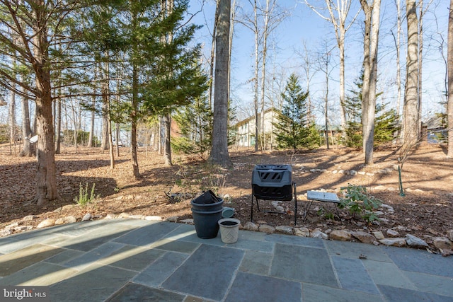 view of patio featuring area for grilling