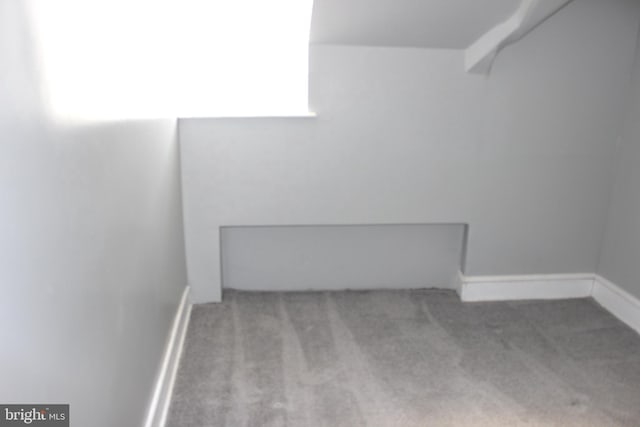 unfurnished room featuring carpet flooring