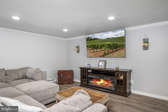 living room featuring a glass covered fireplace, wood finished floors, baseboard heating, and ornamental molding