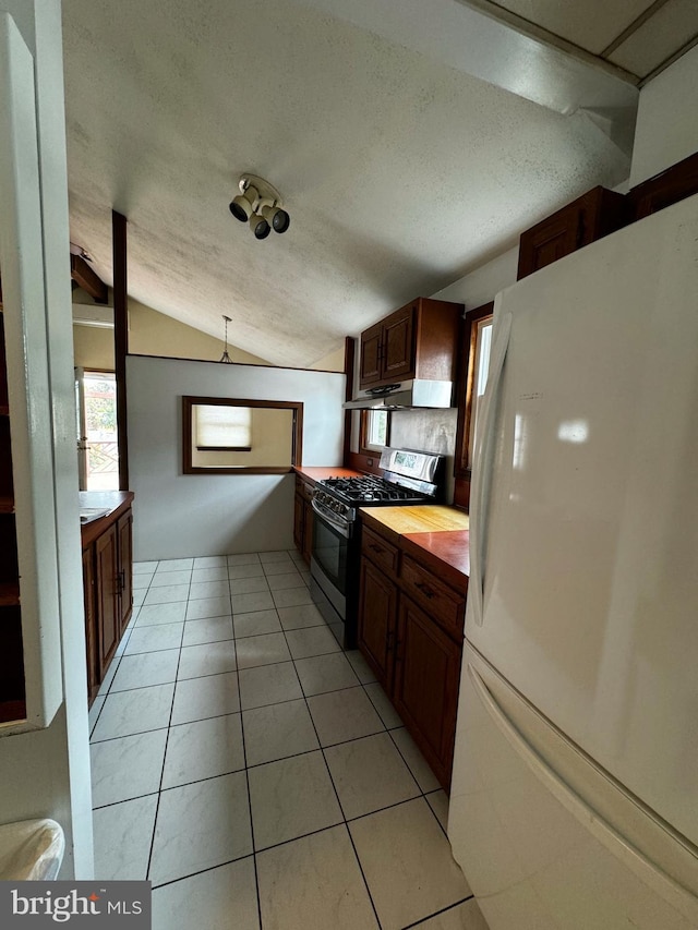 kitchen featuring lofted ceiling, a wealth of natural light, stainless steel gas stove, and freestanding refrigerator