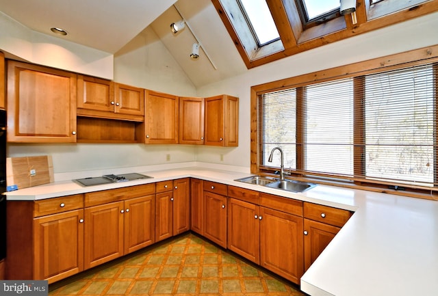 kitchen featuring a wealth of natural light, light countertops, black electric cooktop, and a sink