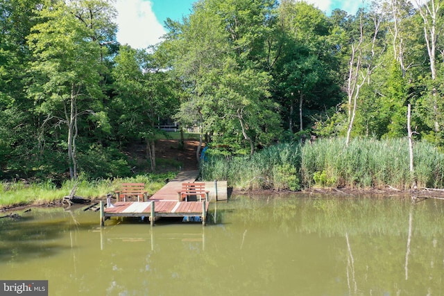 dock area with a water view