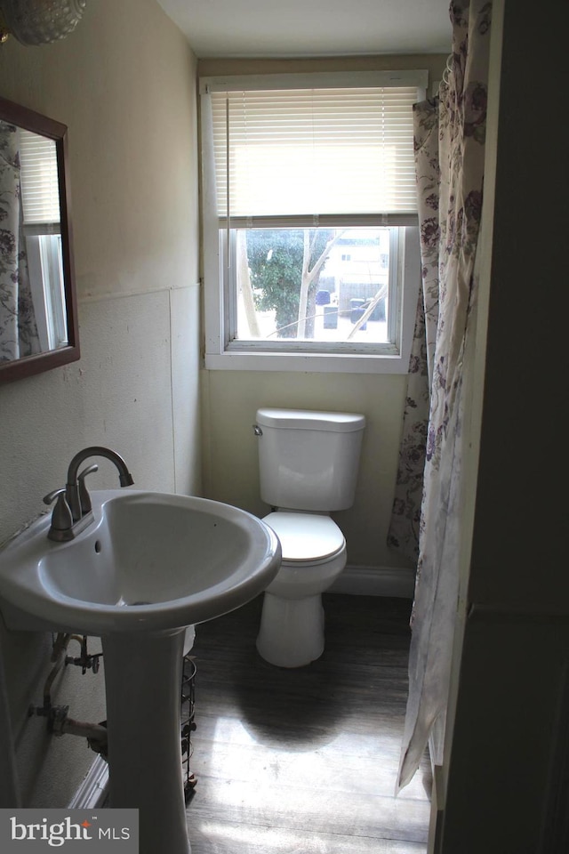 bathroom featuring a shower with curtain, toilet, and wood finished floors