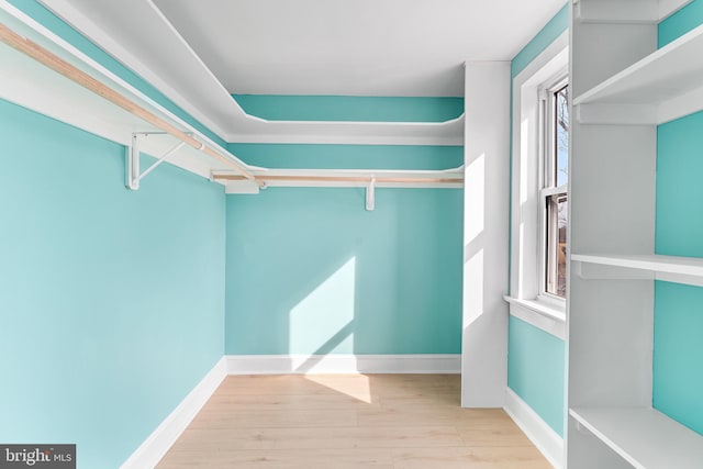 walk in closet featuring wood finished floors