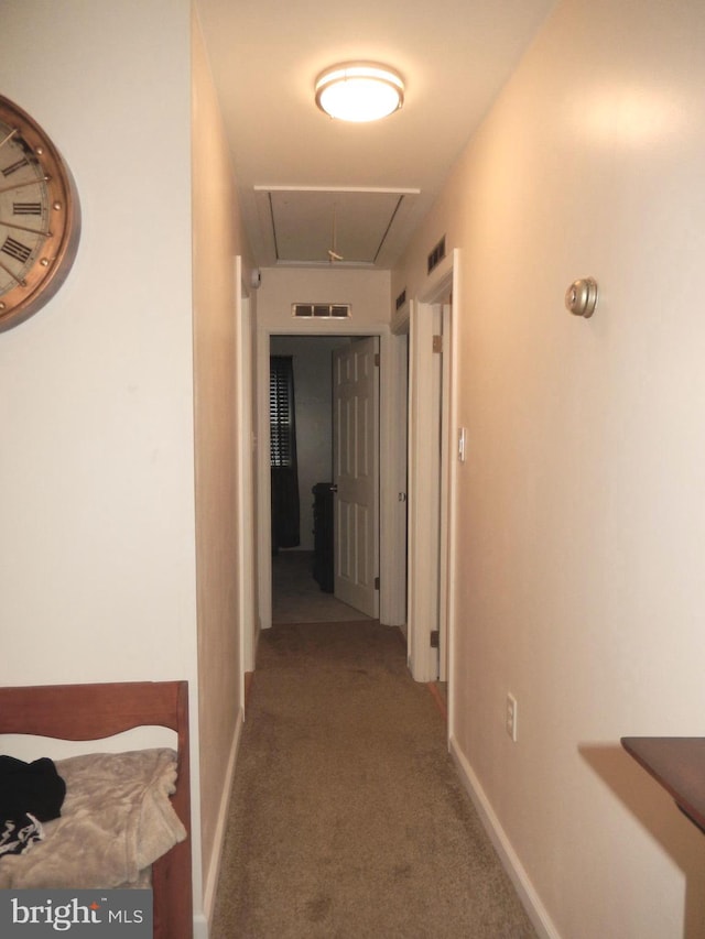 corridor featuring baseboards, visible vents, carpet floors, and attic access