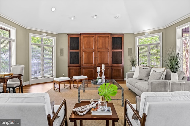 living room featuring vaulted ceiling, wood finished floors, ornamental molding, and a healthy amount of sunlight