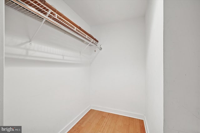 walk in closet featuring light wood-style floors