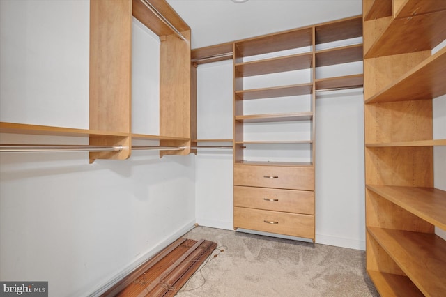 spacious closet featuring light carpet