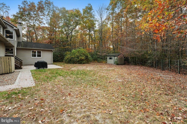 view of yard with a shed, a patio, and an outdoor structure