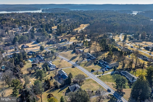 bird's eye view with a view of trees