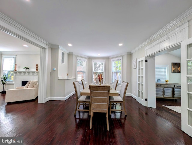 dining space featuring dark wood-style floors, plenty of natural light, and crown molding