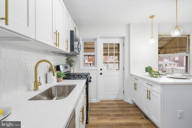 kitchen featuring tasteful backsplash, wood finished floors, plenty of natural light, white cabinets, and stainless steel appliances