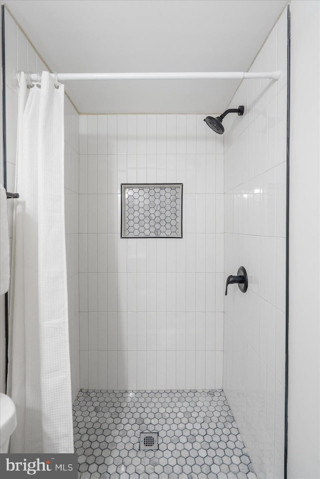 full bathroom featuring a shower stall and toilet