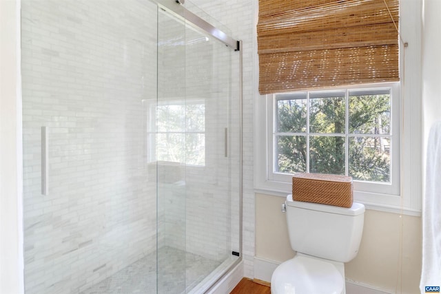 full bath with a shower stall, toilet, and a wealth of natural light