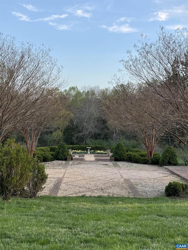 view of community featuring a yard