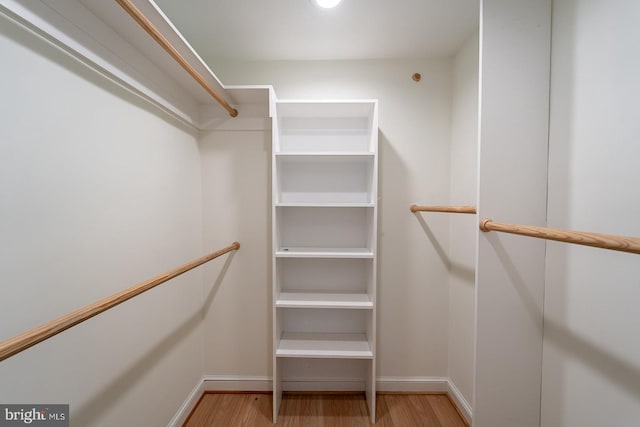 spacious closet featuring wood finished floors