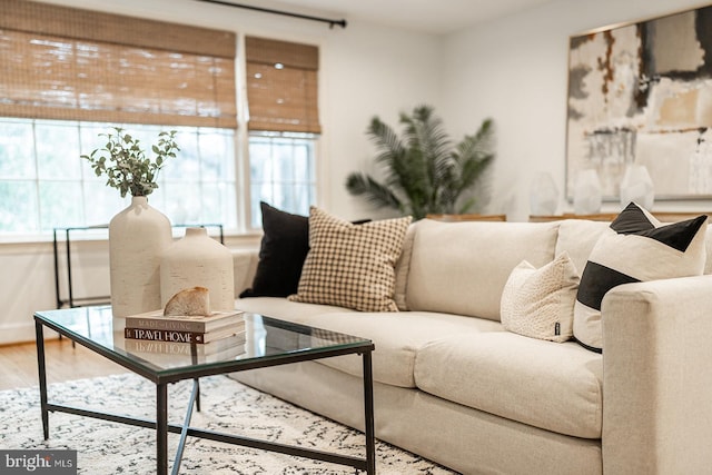 living area with wood finished floors