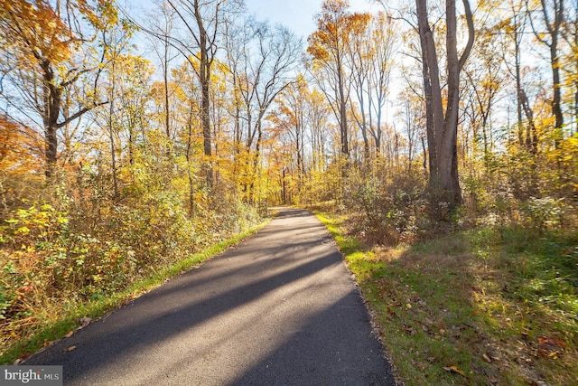 view of street featuring a forest view