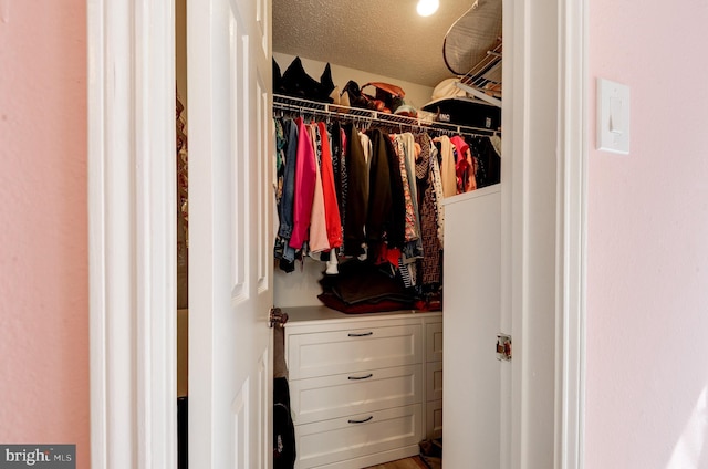 view of walk in closet