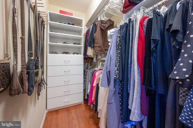 walk in closet featuring wood finished floors