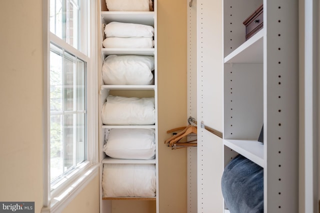 view of walk in closet