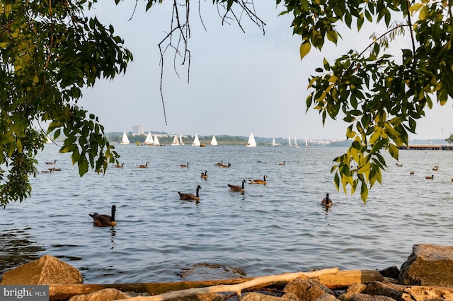 property view of water