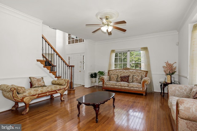 living area with stairs, wood-type flooring, a ceiling fan, and crown molding