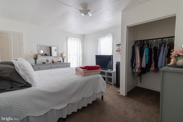 bedroom featuring carpet flooring and a closet