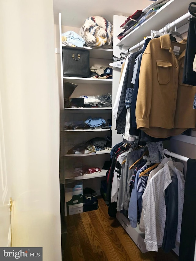 walk in closet with wood finished floors