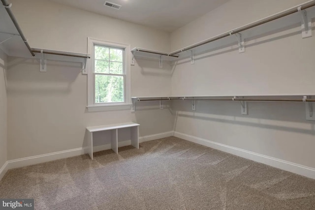 spacious closet with visible vents and carpet floors