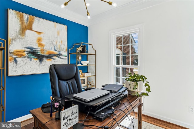 office featuring baseboards, wood finished floors, and crown molding