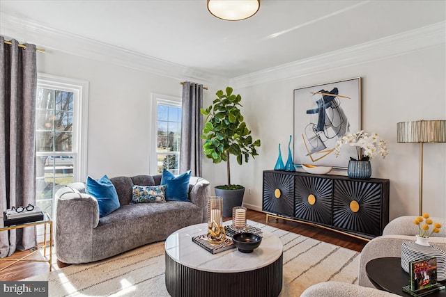 living room with wood finished floors and crown molding