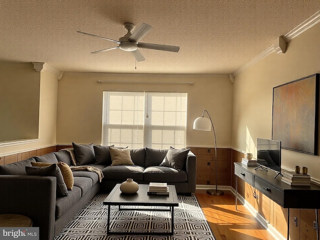 living area featuring light wood finished floors, ceiling fan, ornamental molding, wainscoting, and a textured ceiling