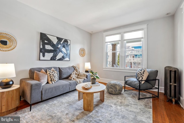 living area featuring baseboards, radiator, and wood finished floors