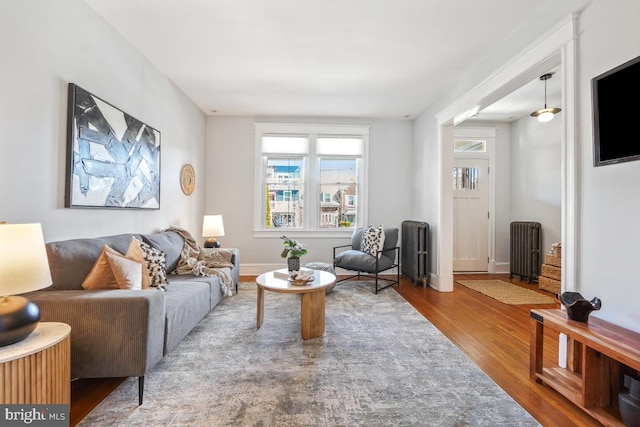 living room featuring baseboards, radiator, and wood finished floors